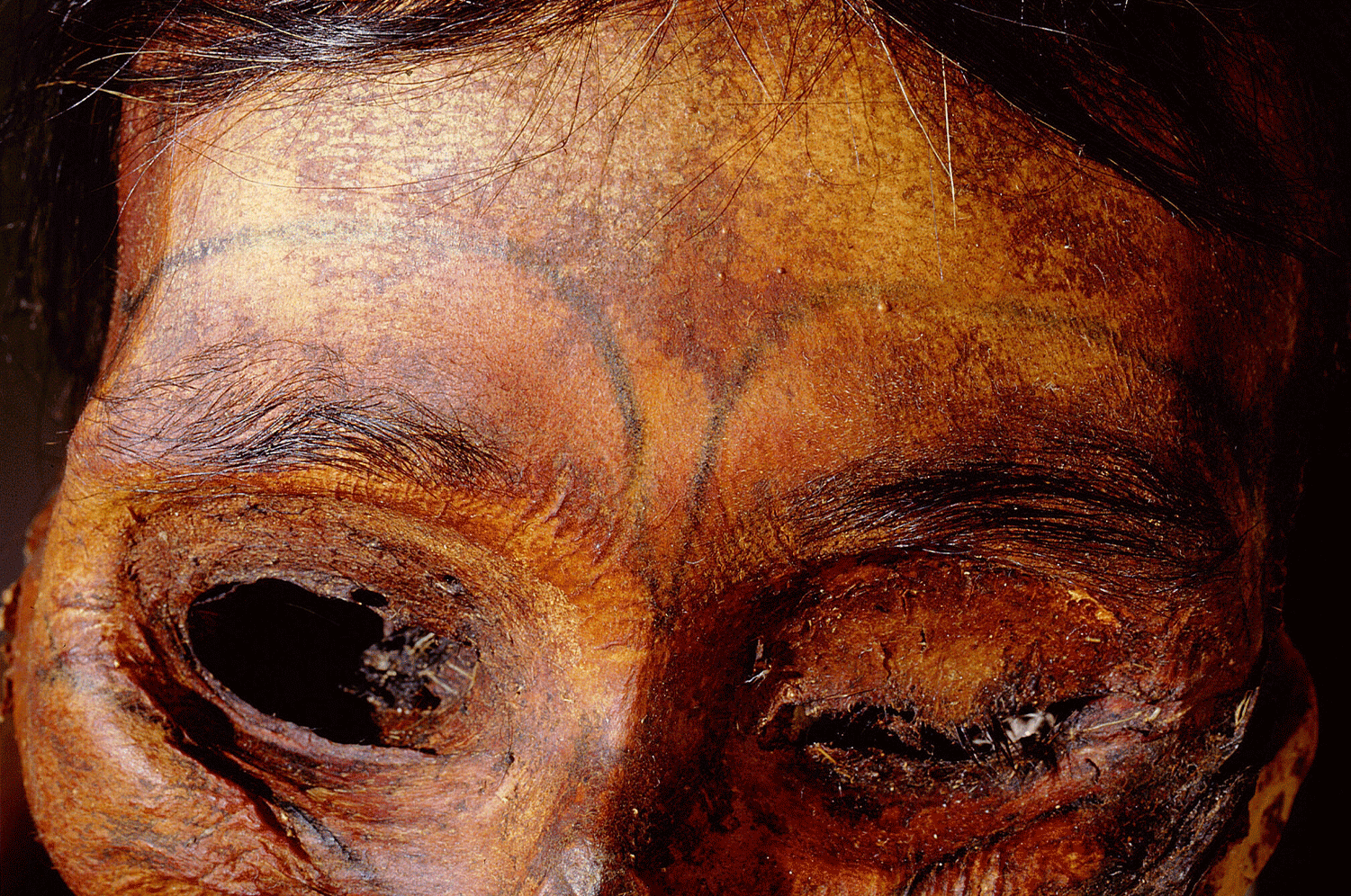 Un tatuaje aún visible en el rostro de una mujer Qilakitsoq del siglo XV. Credit...Werner Forman Archive/The Greenland Museum vía Heritage Images.